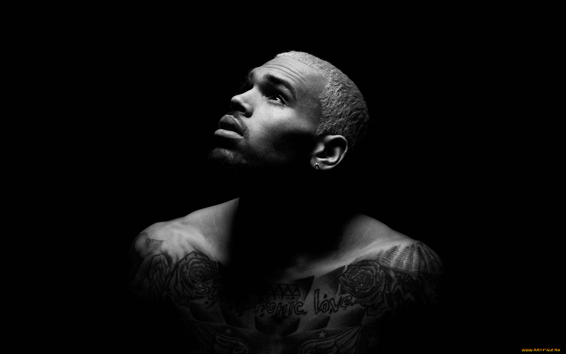 chris-brown, , -, 
